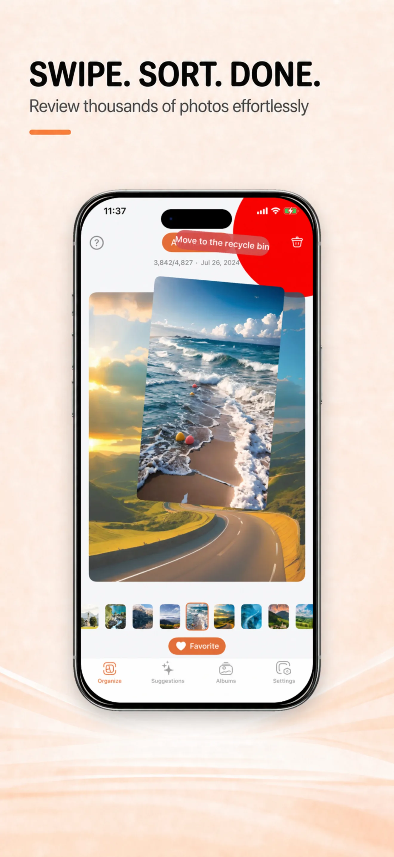 PicTidy photo organizing screen